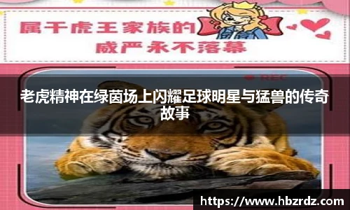 米兰官网登录入口